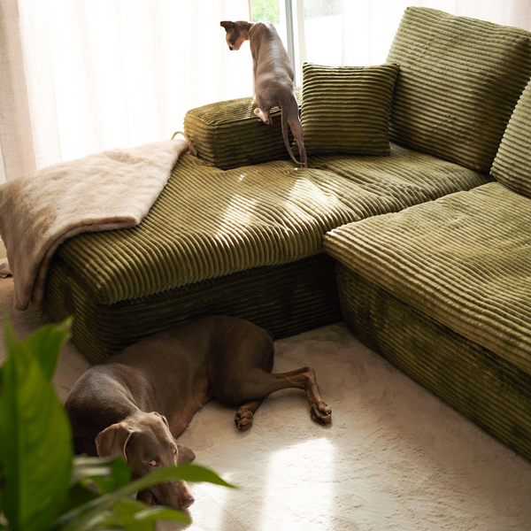 Lazy Corner Sofa Velvet Corduroy Green Left